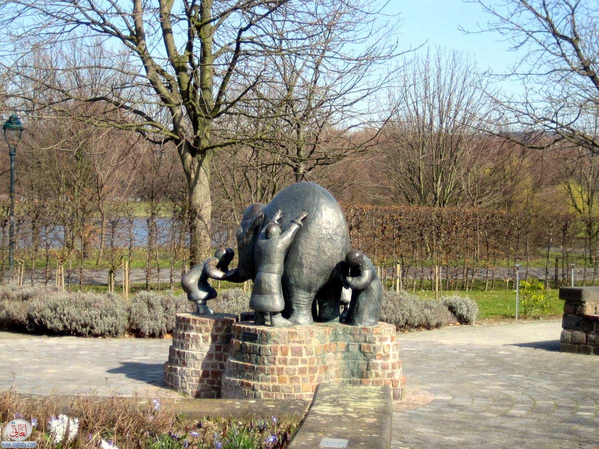 bonn-y19a