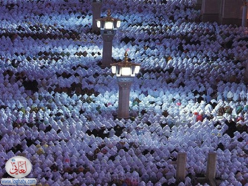 madina12