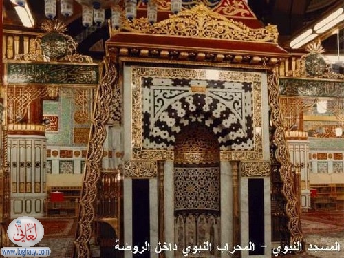 madina19