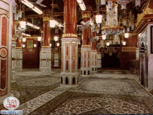 madina20
