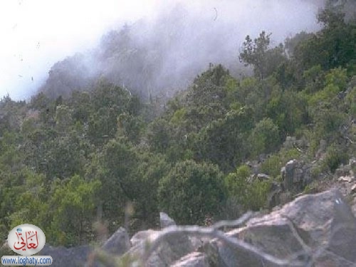 asir10