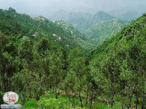 asir5