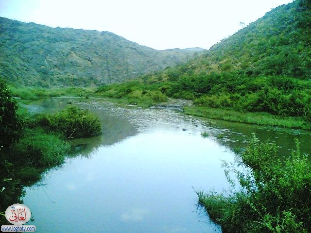 albaha10
