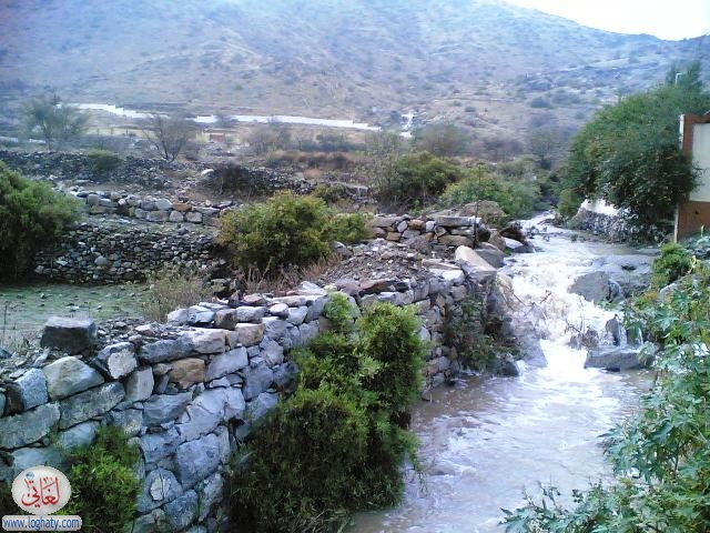 albaha12
