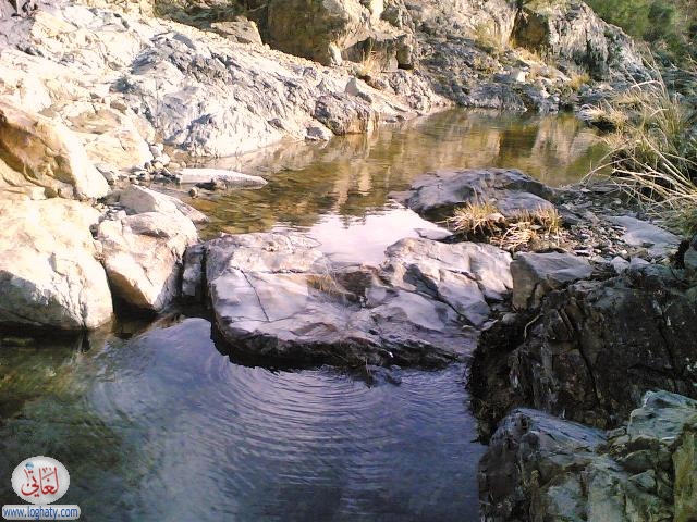 albaha13