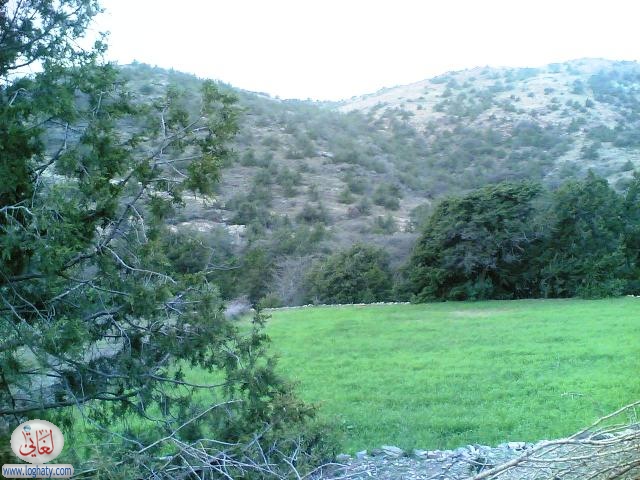 albaha15