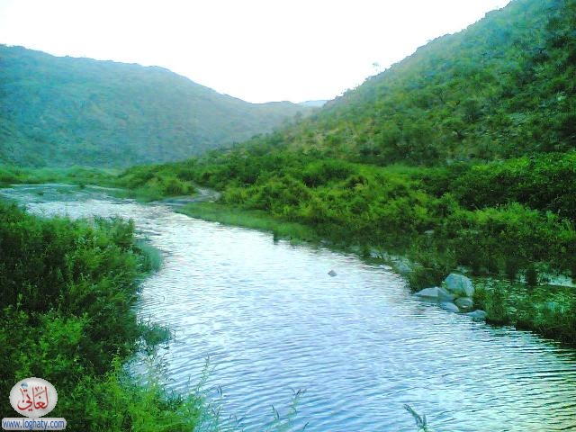 albaha16