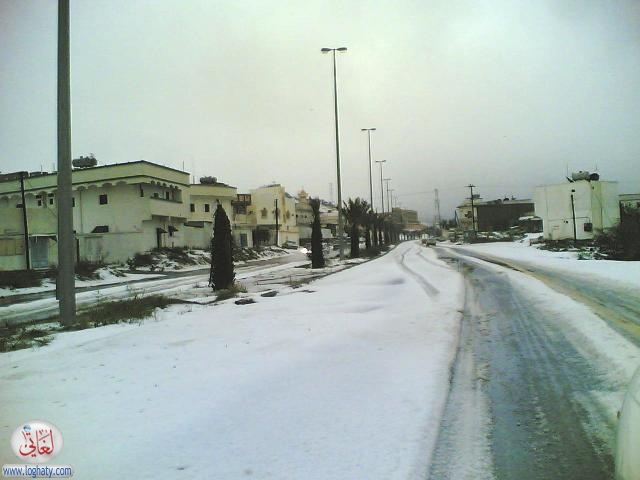albaha2
