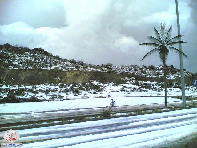 albaha4