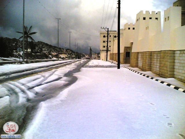 albaha6