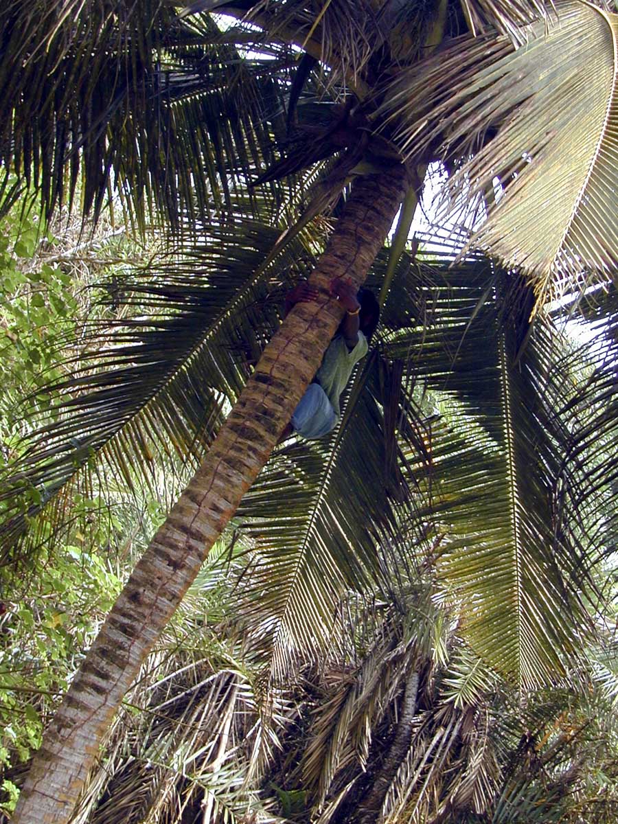 ghana-27