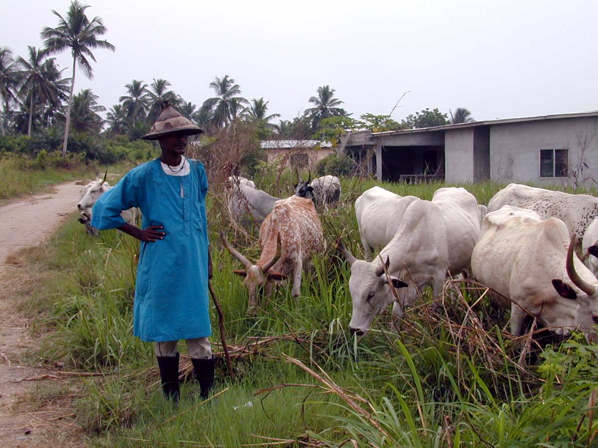 ghana-54