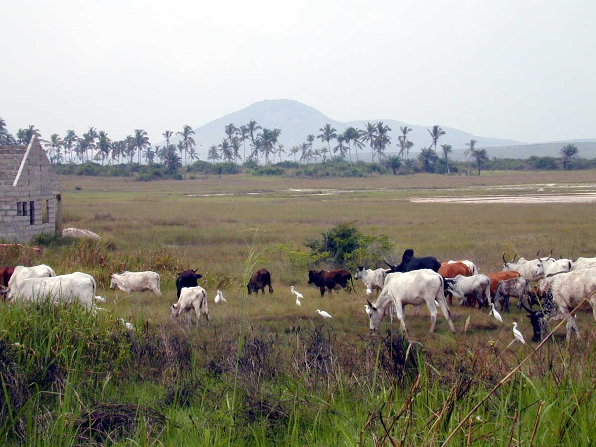 ghana-55