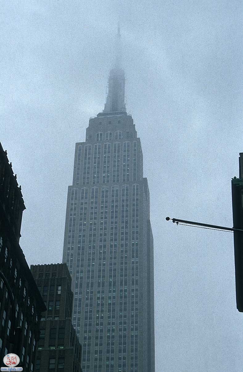 newyork53