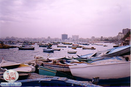 122boats in sea 2