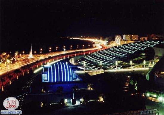238205879jjyXaV ph