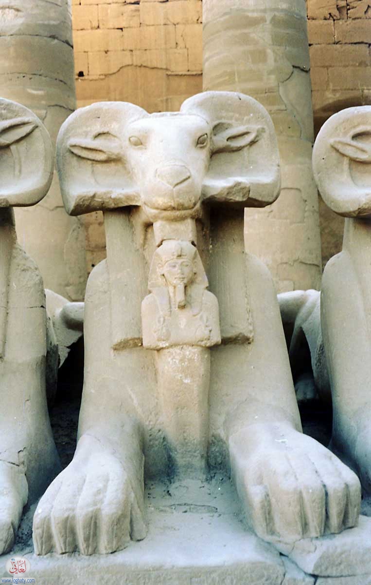 egypt-4z8