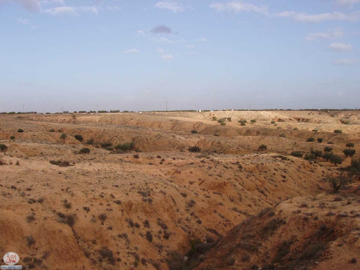 djerba-13