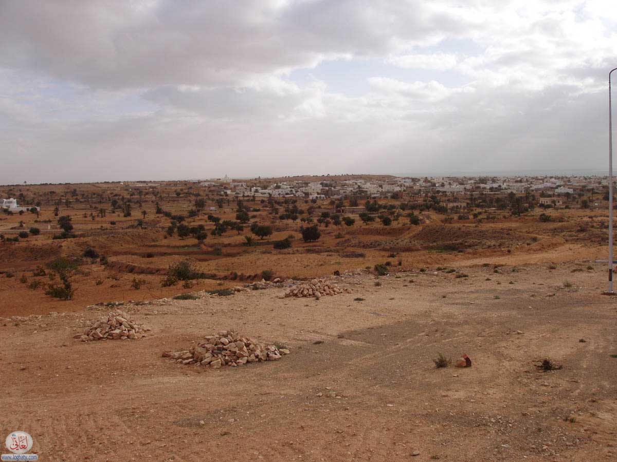 djerba-14