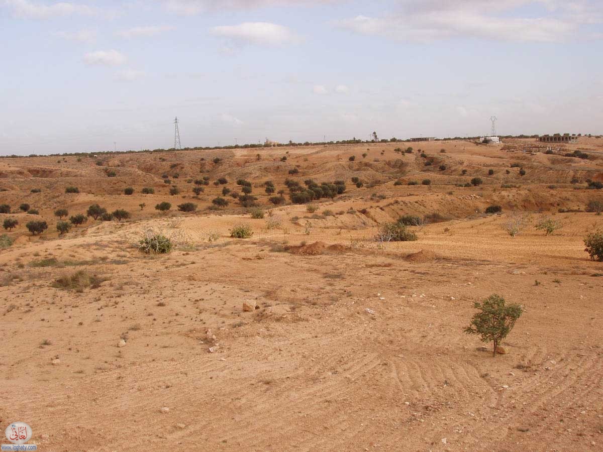 djerba-15
