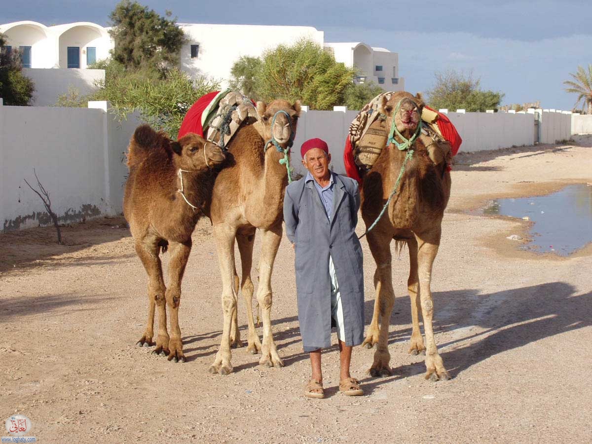 djerba-27
