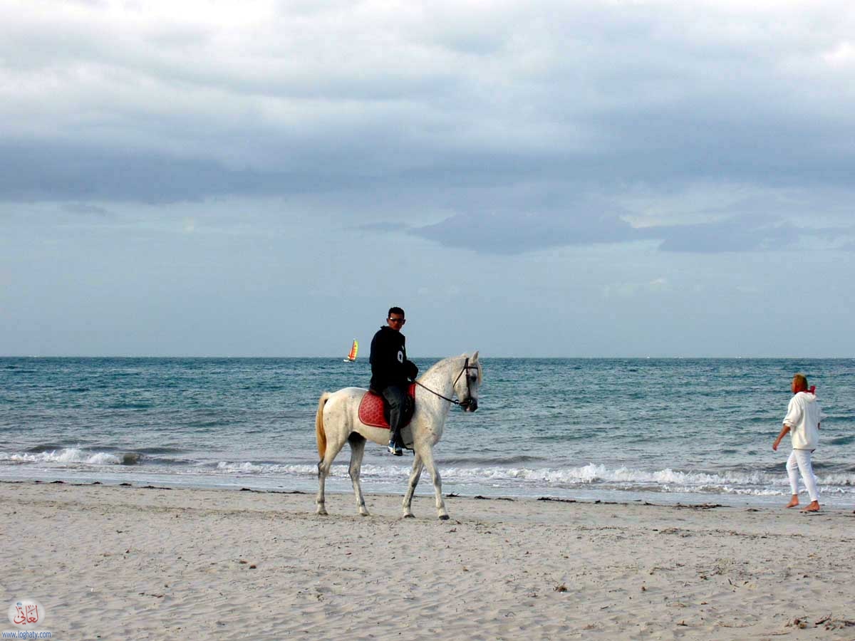 djerba-32