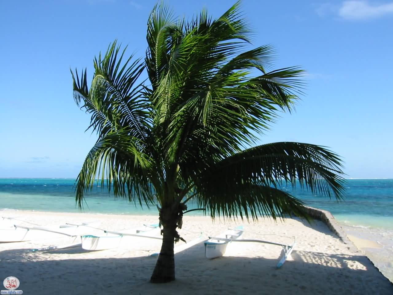 BoraBora02
