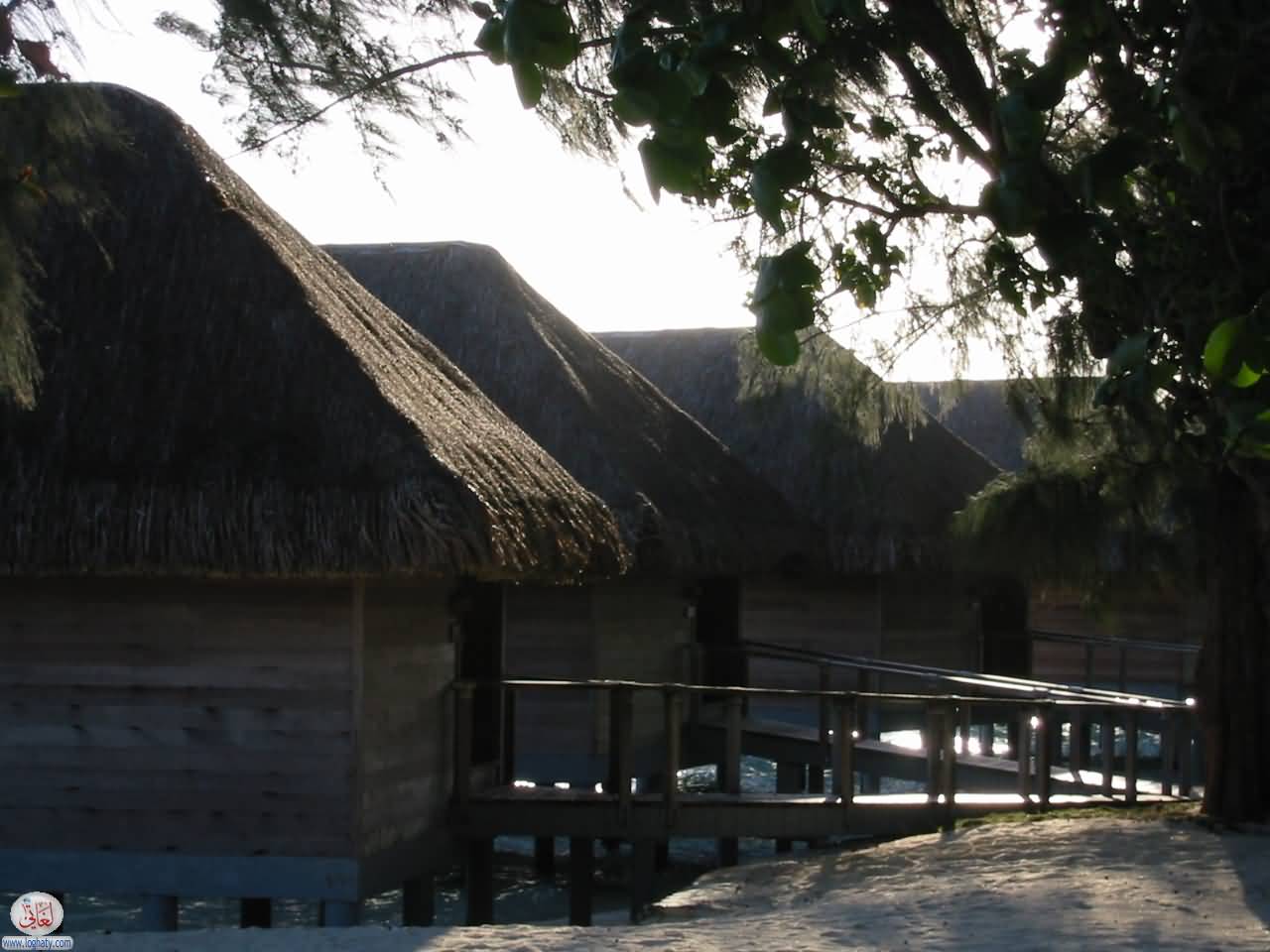 BoraBora05