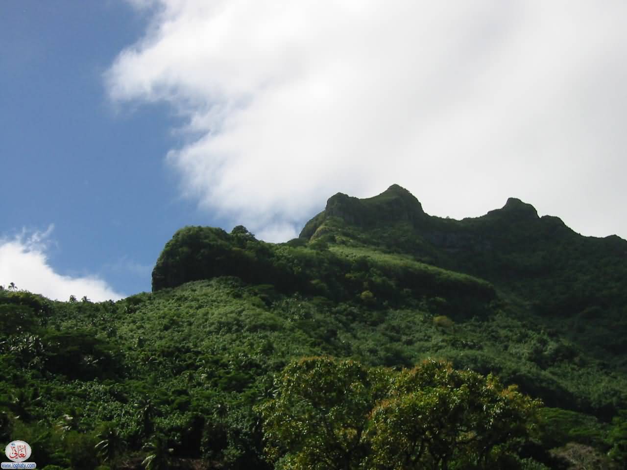BoraBora16