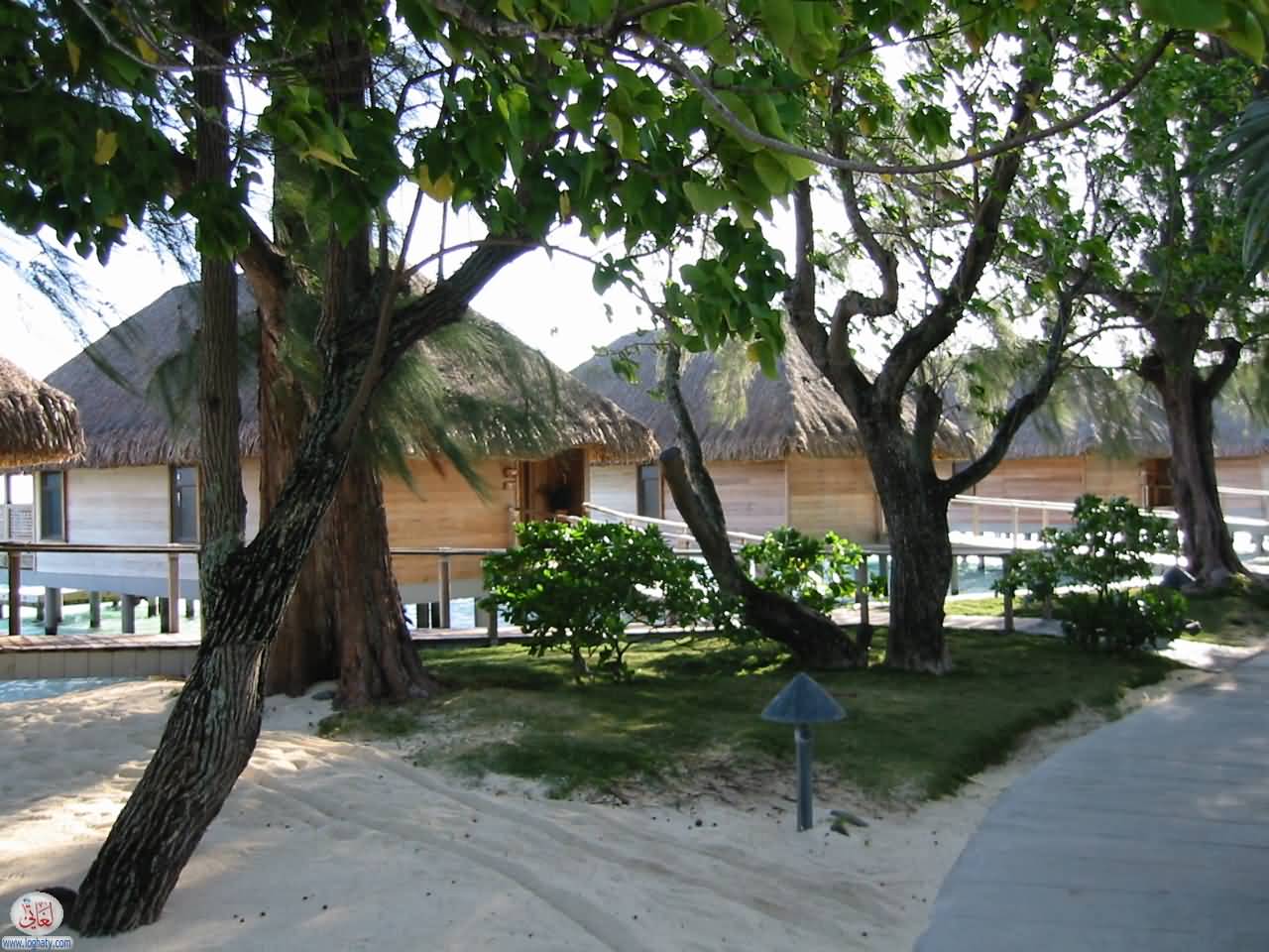 BoraBora18