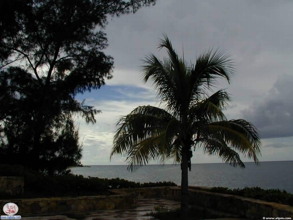 bahamas14