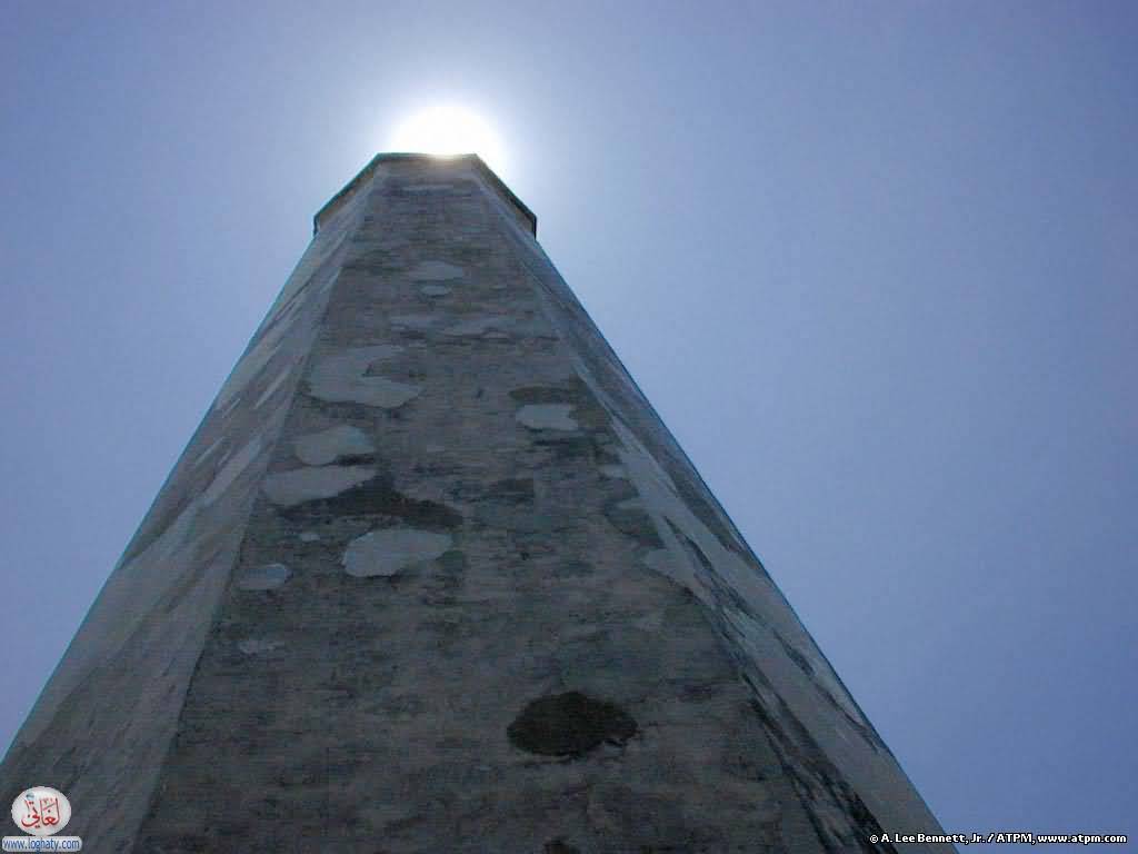 bald-head-light2