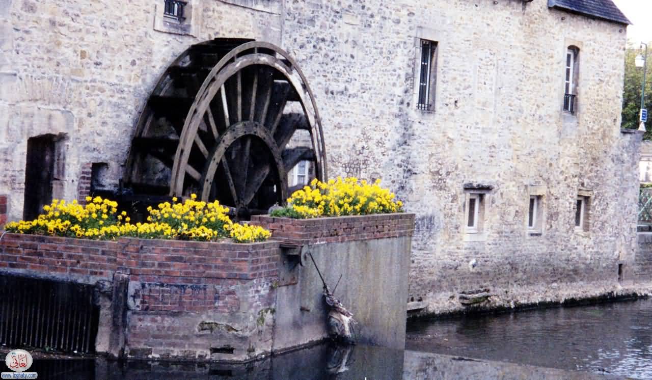 bayeux