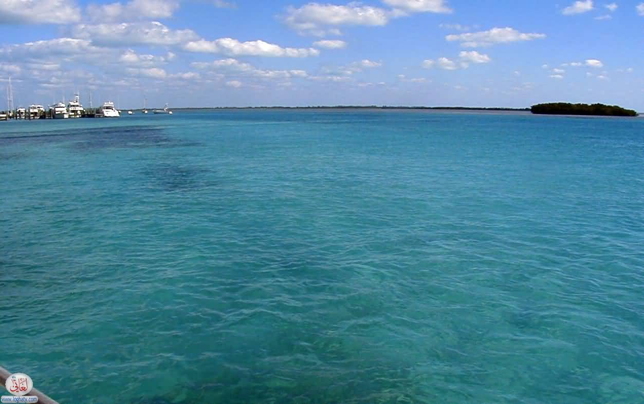 bluewater