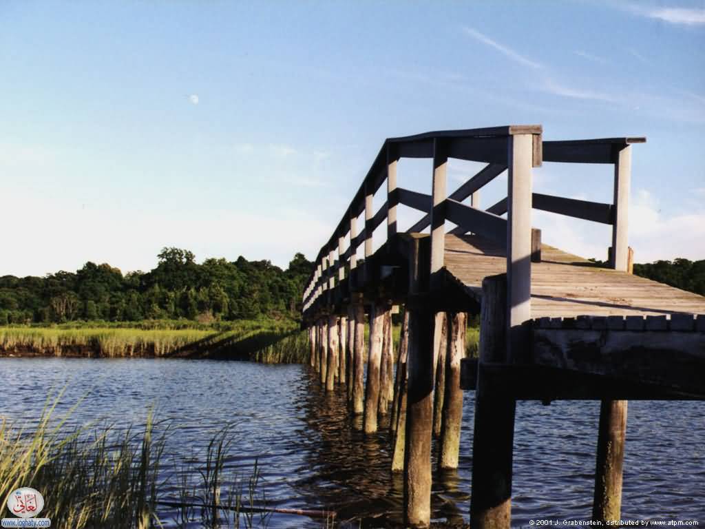 bridge