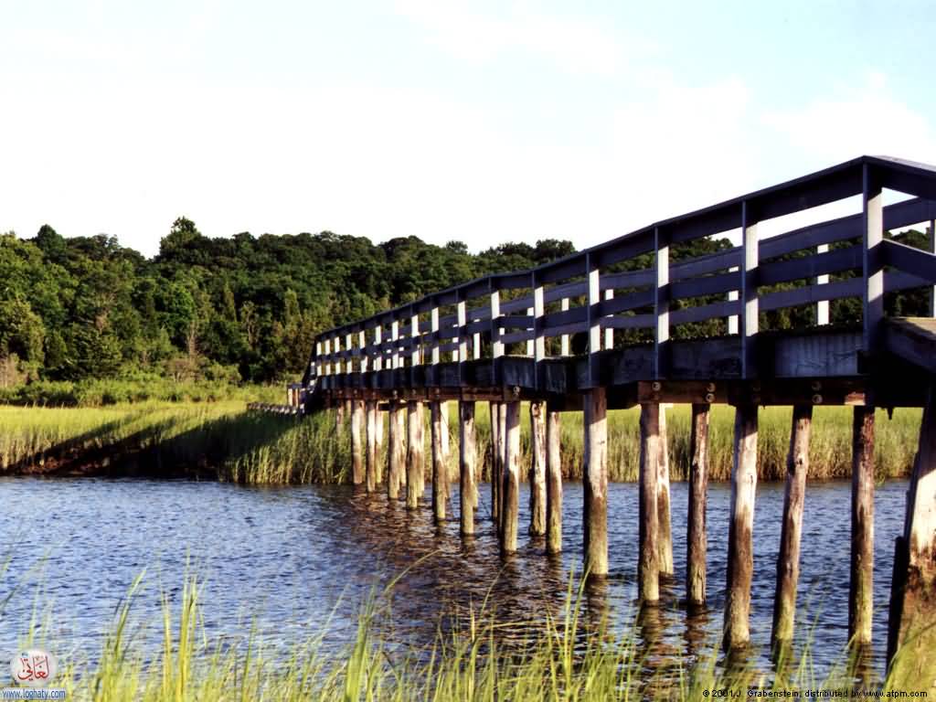 bridge2
