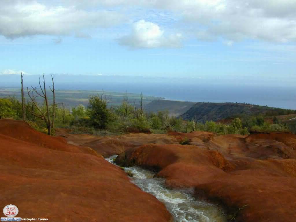 down from waimea