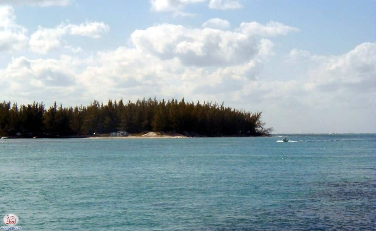 island
