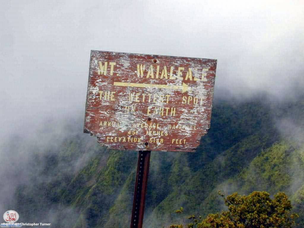 mount waialeale
