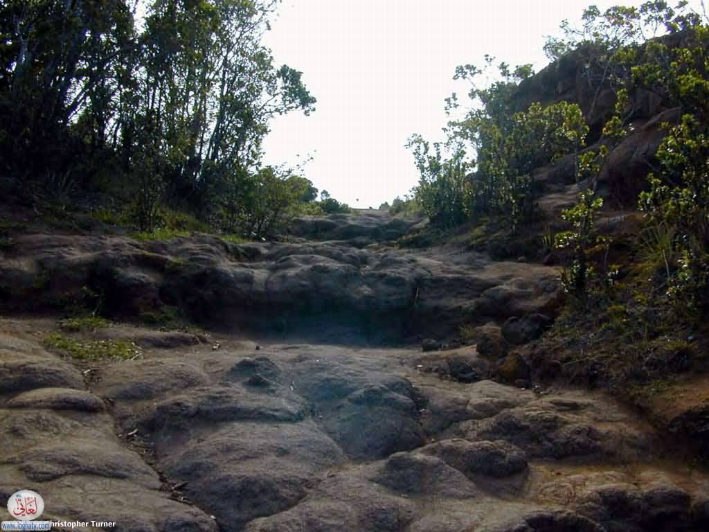 pihea trail