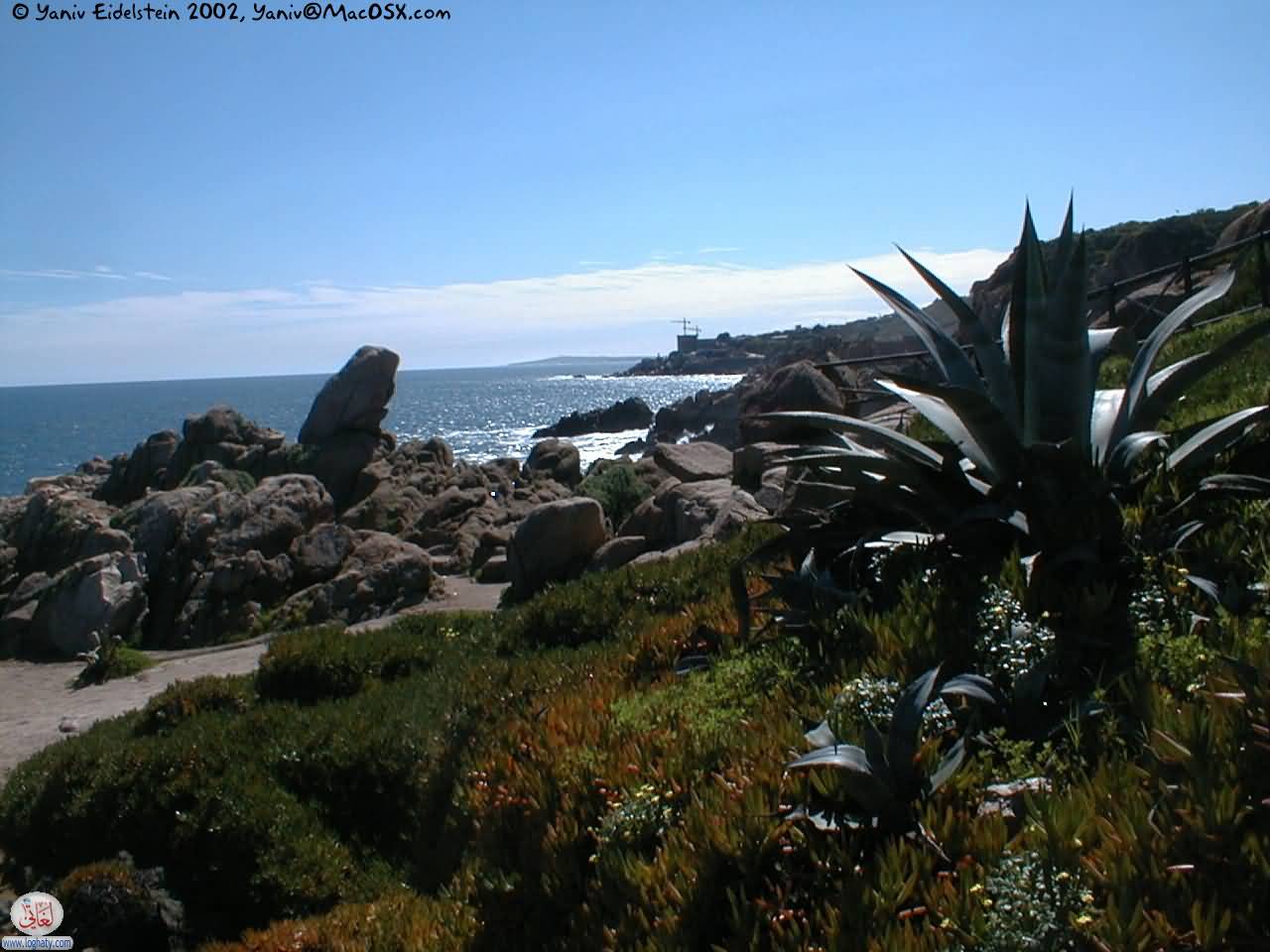 roqueoceanico2