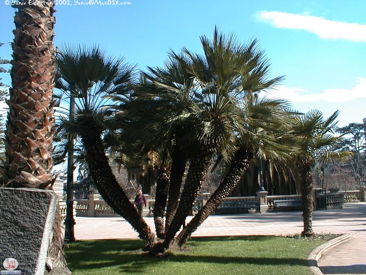 santaluciapalm