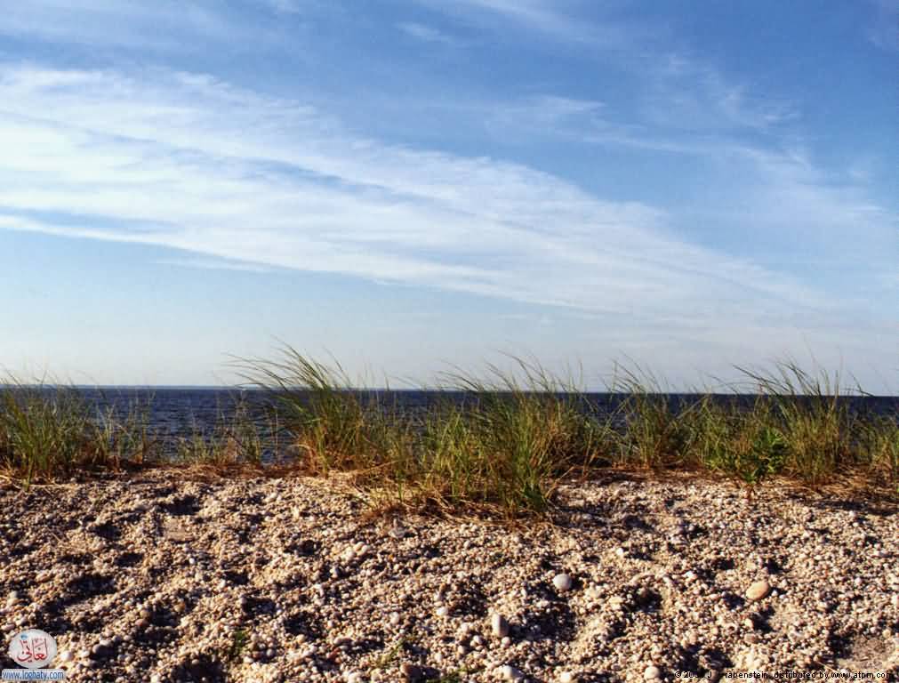 sea