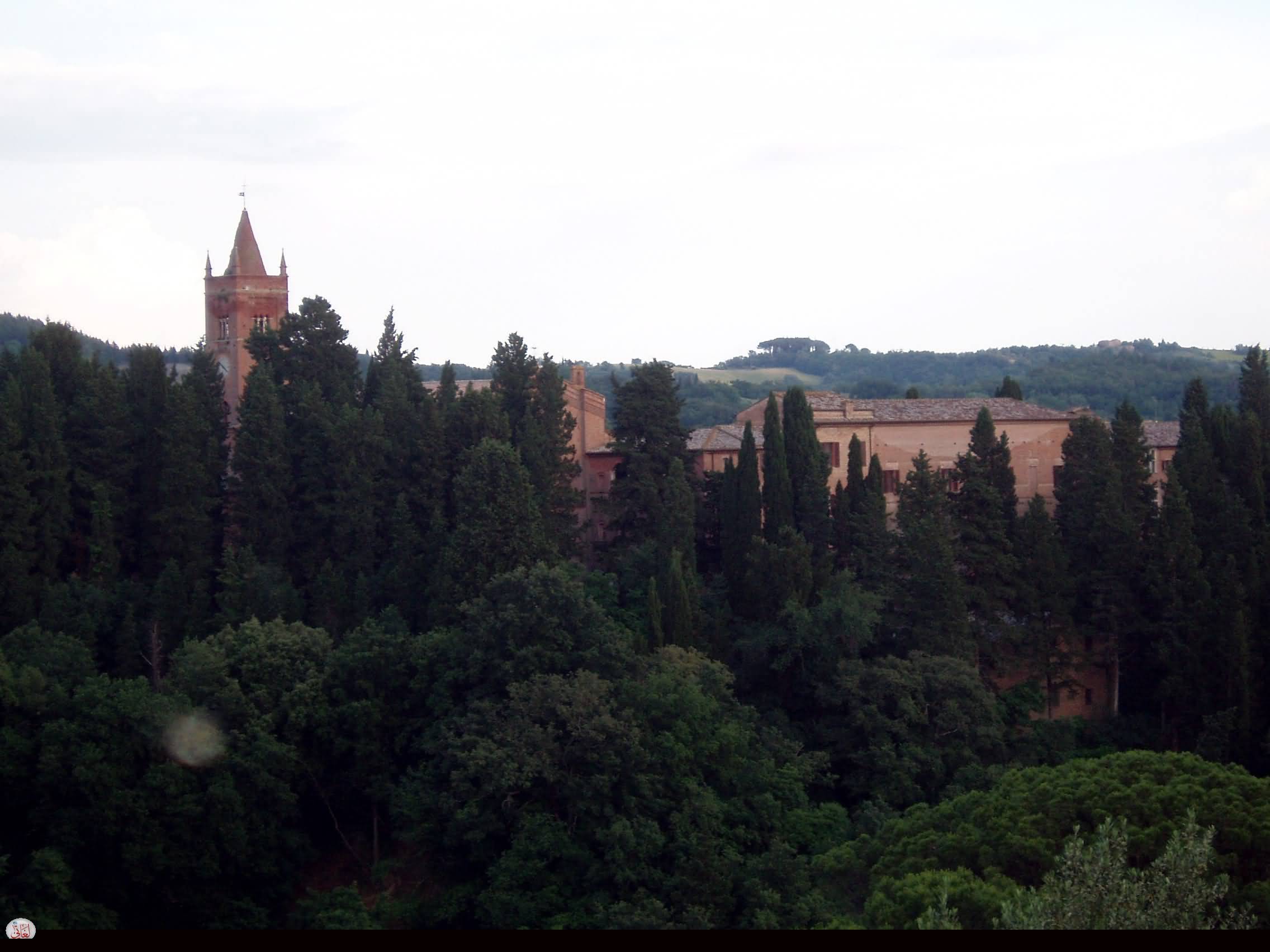 abbazio-mt-oliveto