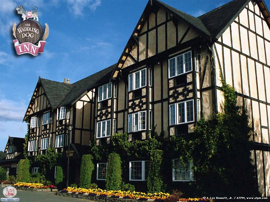 waddling-dog-inn