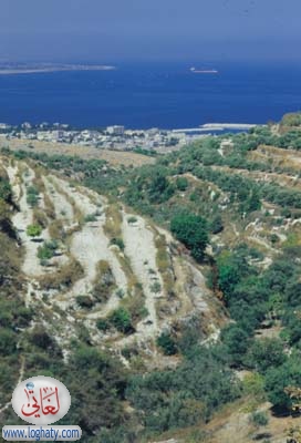 Banias