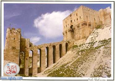 aleppo