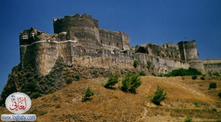 almarqaap