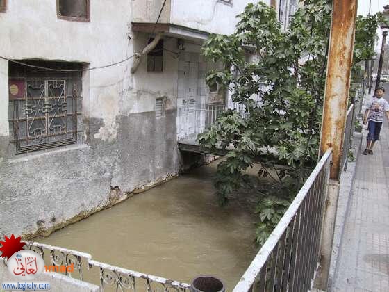 barada4