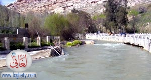 baradah 2